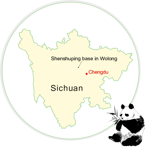 臥龍神樹坪基地