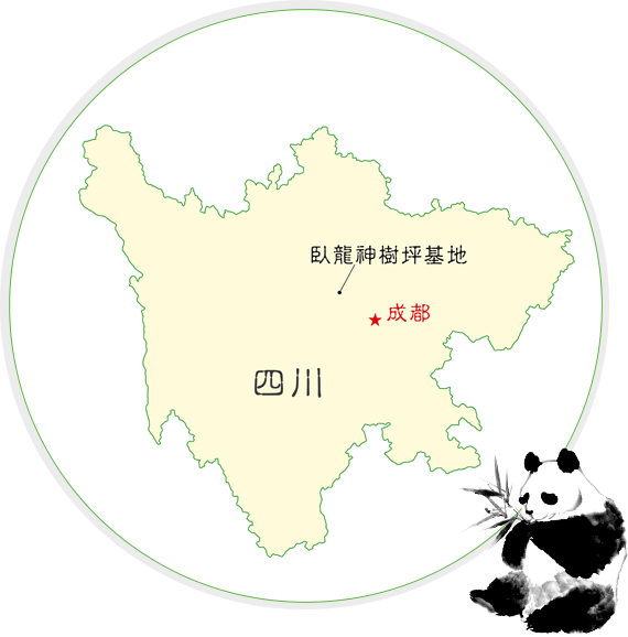 卧龙神树坪基地