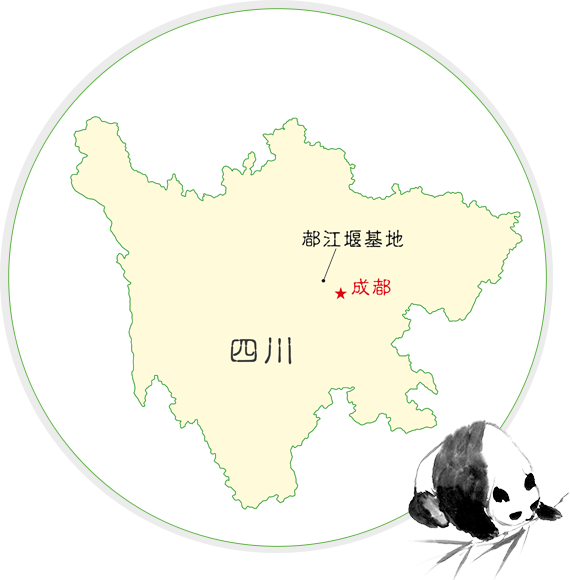 都江堰基地
